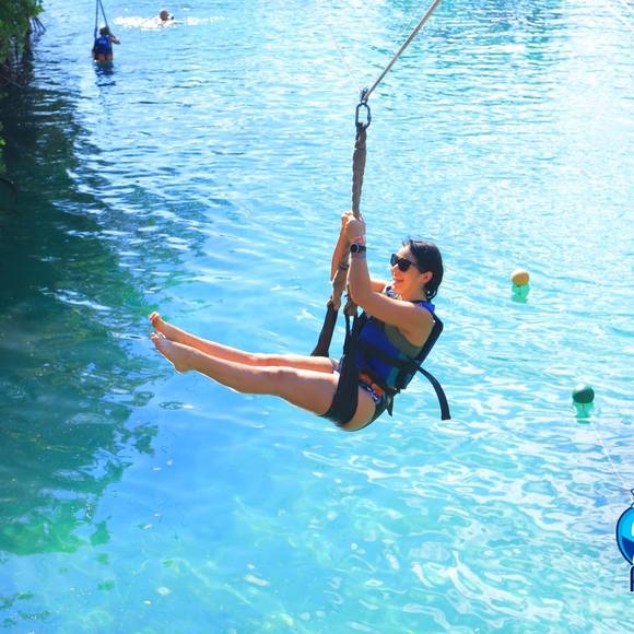 Meet your Posher, Darcy - Picture 1 of 1